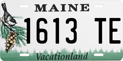 ME license plate 1613TE