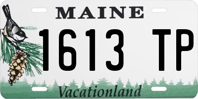 ME license plate 1613TP