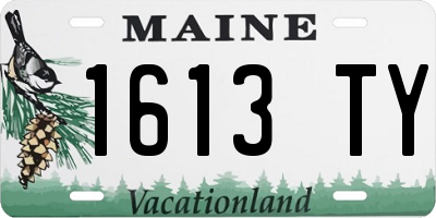 ME license plate 1613TY