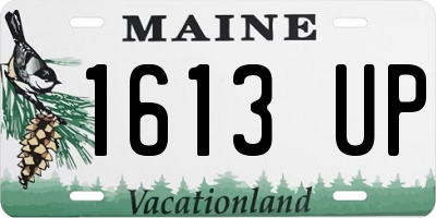 ME license plate 1613UP