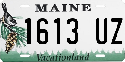 ME license plate 1613UZ