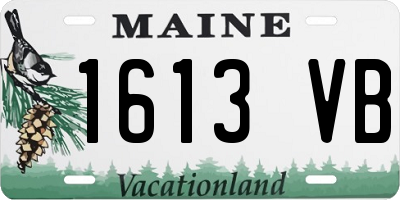 ME license plate 1613VB