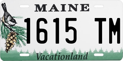 ME license plate 1615TM