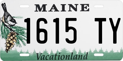 ME license plate 1615TY