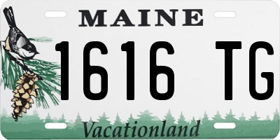 ME license plate 1616TG