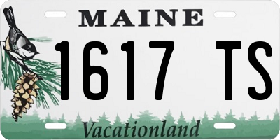 ME license plate 1617TS