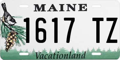 ME license plate 1617TZ
