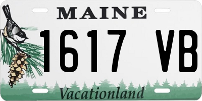 ME license plate 1617VB