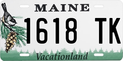 ME license plate 1618TK