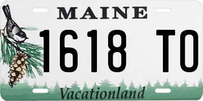 ME license plate 1618TO