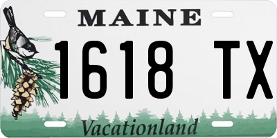 ME license plate 1618TX
