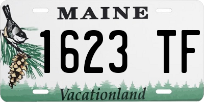 ME license plate 1623TF