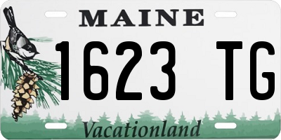 ME license plate 1623TG