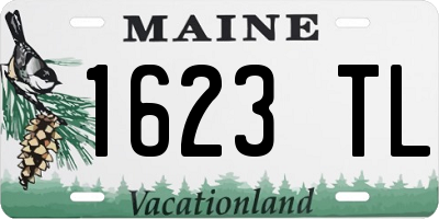 ME license plate 1623TL