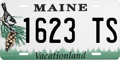 ME license plate 1623TS