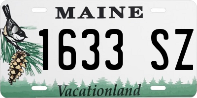 ME license plate 1633SZ