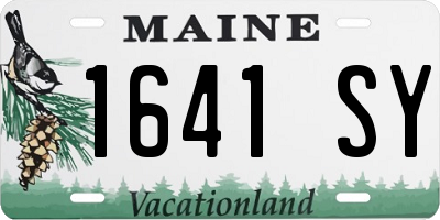 ME license plate 1641SY