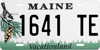 ME license plate 1641TE