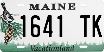 ME license plate 1641TK