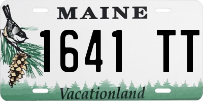 ME license plate 1641TT