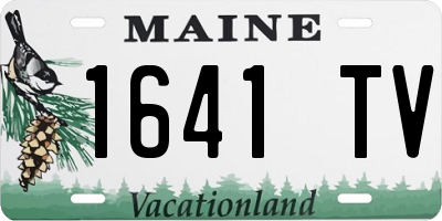 ME license plate 1641TV