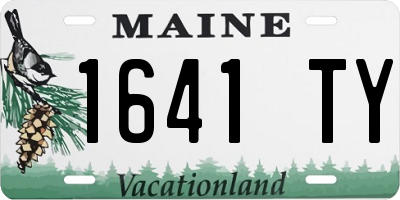 ME license plate 1641TY