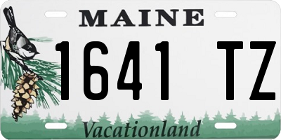 ME license plate 1641TZ