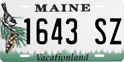 ME license plate 1643SZ