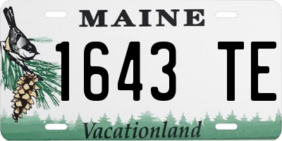 ME license plate 1643TE