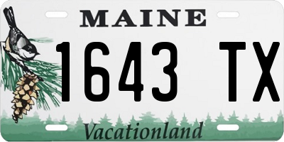 ME license plate 1643TX