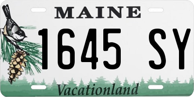 ME license plate 1645SY