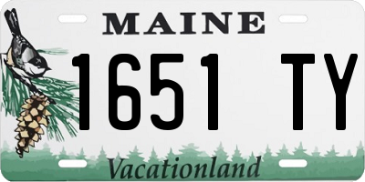 ME license plate 1651TY