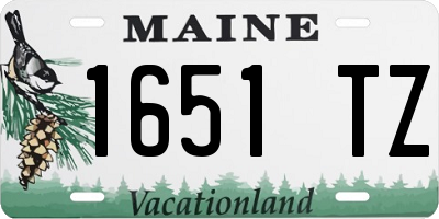 ME license plate 1651TZ