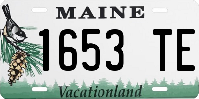 ME license plate 1653TE