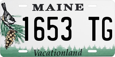 ME license plate 1653TG