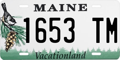 ME license plate 1653TM