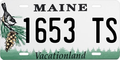 ME license plate 1653TS