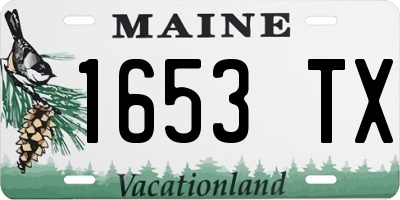 ME license plate 1653TX