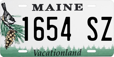 ME license plate 1654SZ