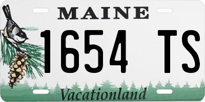 ME license plate 1654TS