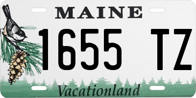 ME license plate 1655TZ