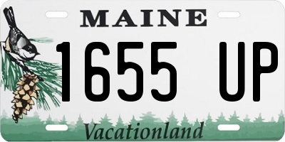 ME license plate 1655UP
