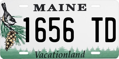 ME license plate 1656TD