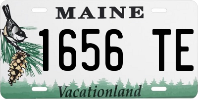 ME license plate 1656TE