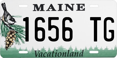 ME license plate 1656TG