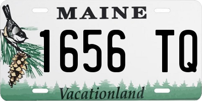 ME license plate 1656TQ