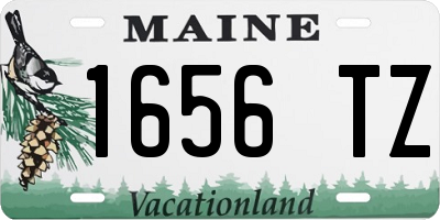 ME license plate 1656TZ