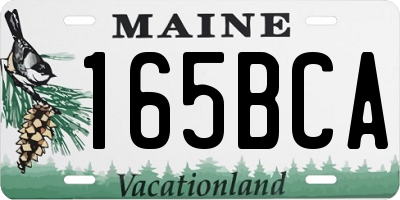 ME license plate 165BCA