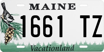 ME license plate 1661TZ