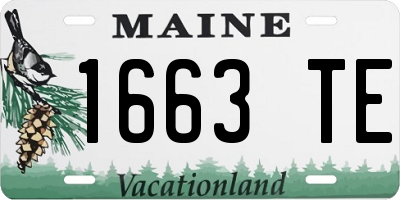 ME license plate 1663TE
